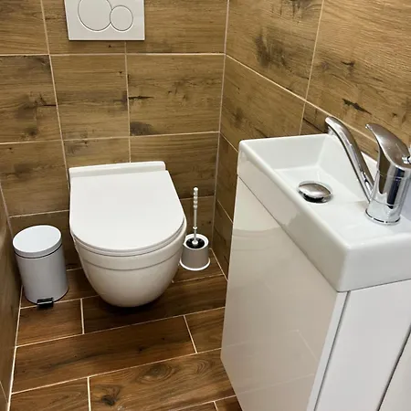 V Centru Trutnova Apartment *